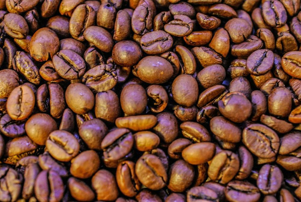 Aconcagua Valley – Et Skjult Perle I Kaffeverdenen