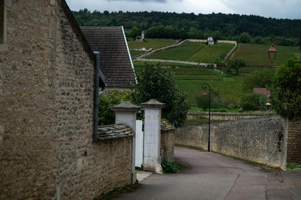 Beaujolais Cru: Morgon Og Fleurie – En Kaffefan’s Møde Med Vinens Verden