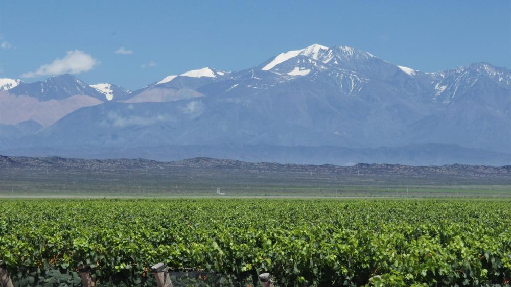 Mendoza – Argentinas Kaffeperle I Sydamerika