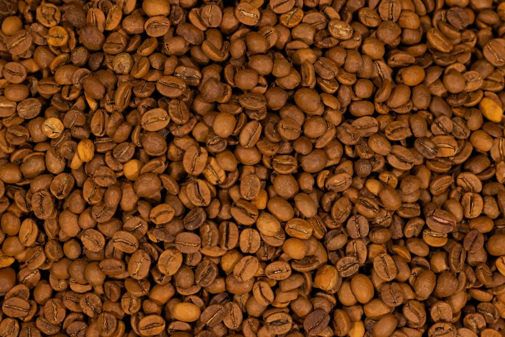 Mendoza – Argentinas Skjulte Perle For Kaffeentusiaster